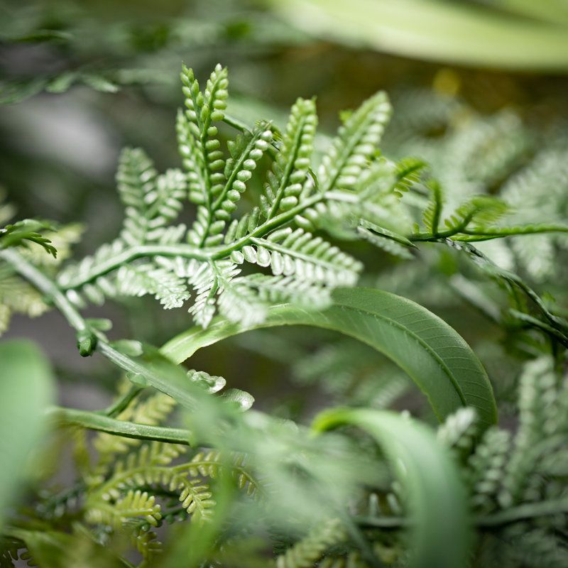 35" Draping Fern Frond Spray; Green