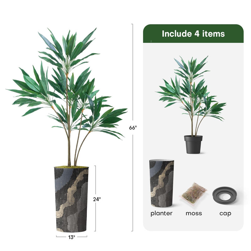 66 plantes, Gris géométrique