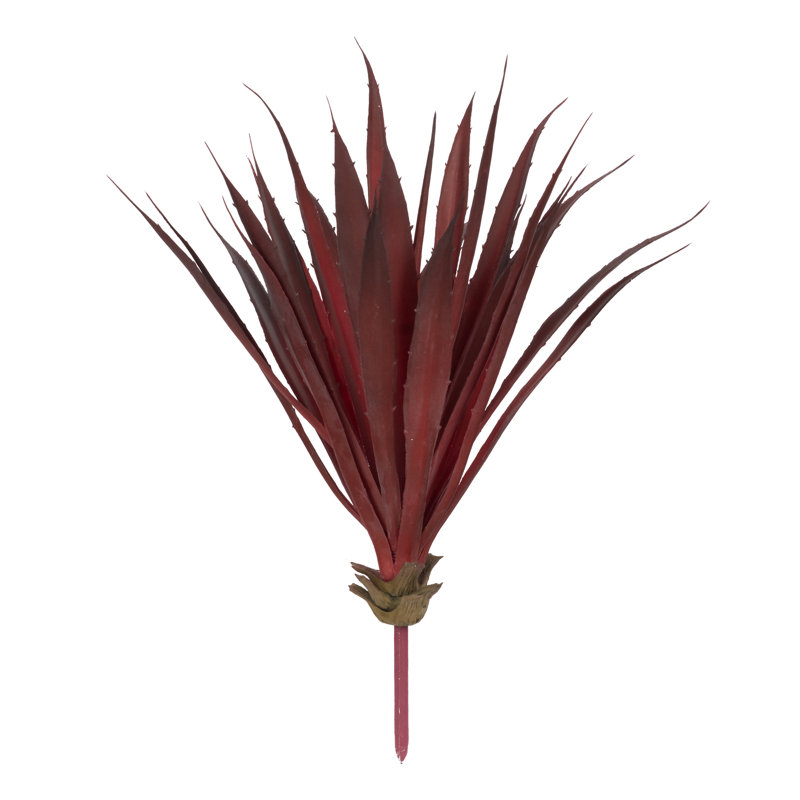 Phormium Arrangement