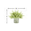 Heather Floral in A Glass Vase with Label
