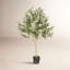Arbre à fleurs vert olive Vickerman-73286562