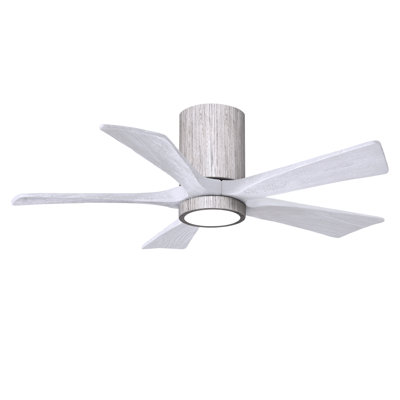 Irene Ceiling Fan with LED Light Kit