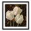 Flores Elegante II - reproduction de cadre photo-632405899