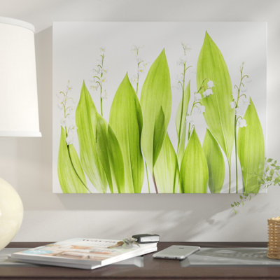 " Lilly Of The Valley "