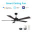 Ventilateur de plafond intelligent de 52 pouces avec télécommande Appleton, ensemble d'éclairage inclus, fonctionne avec l'assistant Google, Amazon Alexa et les raccourcis Siri.-2023744145-2023744146-2023744159