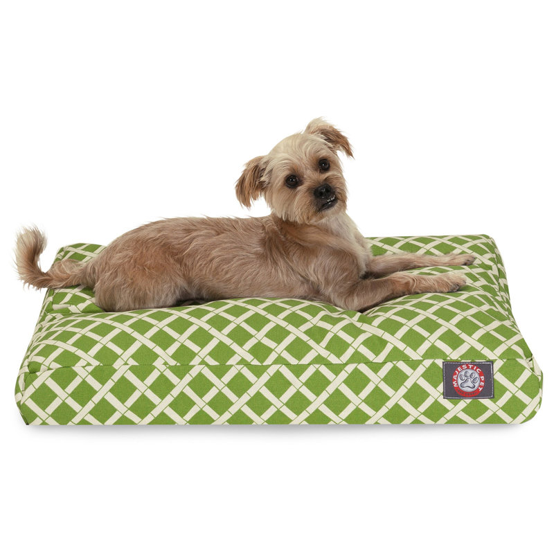 Coussin Bamboo Orthopedic, Petit (l 20 po x P 27 po x H 4 po) ;, Sauge