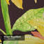 Sunflower-129362737