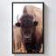 "American Bison IV" par Debra Van Swearingen, reproduction sur toile dans un cadre flottant noir-110965467