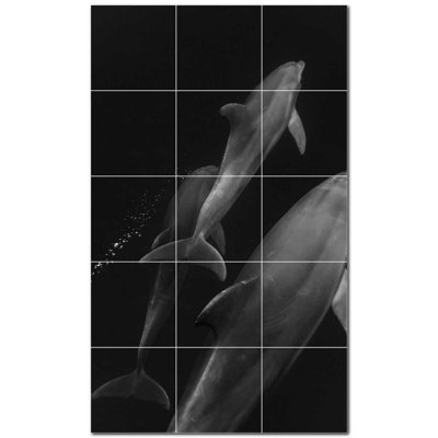 Dolphin Photo 4.25'' x 4.25'' Satin Ceramic Decorative Mural