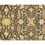 Hand Knotted Wool Area Rug in Black And Gold