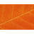 " Autumn Leaf " by Philippe Monthoux-65809640-132456988