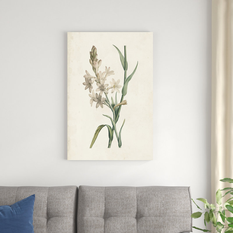 Classic Botanicals I, H 36 po x l 24 po