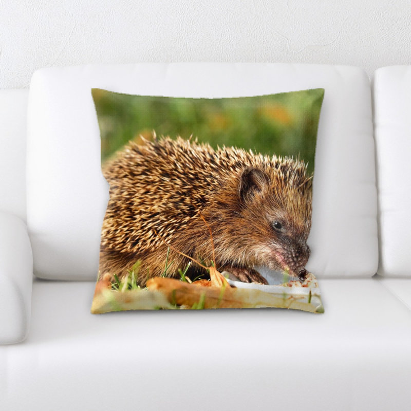 Coussin hedgehog