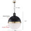 Carnbore 1 - Light Single Globe Pendant