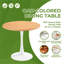 Table à manger conforme à la photo, 31,5 pouces (80 cm) de hauteur, 4 couverts, poids : 12,2 kg, idéale pour le salon.