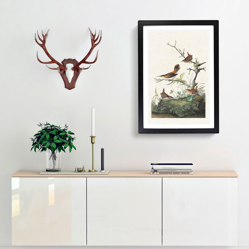 Wrens by John James Audubon - Picture Frame Painting Print, Black Framed, 48cm H x 36cm W x 2cm D