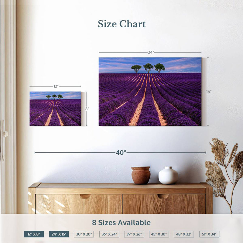 Alvord Provence Summer Lavender Rows, 16" H x 24" W