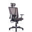 Chaise Stoltenberg-1674793527