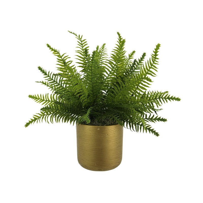 Outdoor UV-Rated Fern in Fiberstone Pot