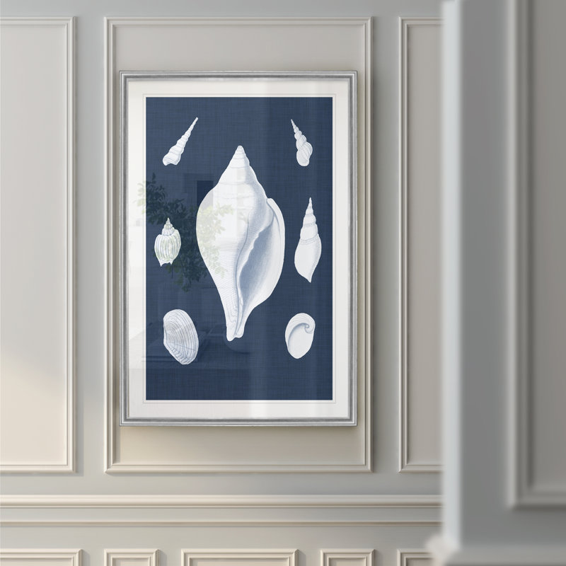 « coquillages blancs ii », impression sur toile, H 30,5 po x l 42,5 po x P 1,5 po, Argent