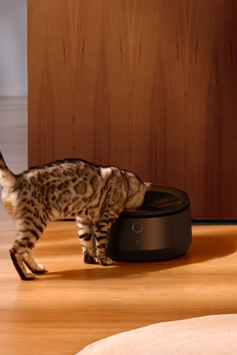 Shop Polar Wet Food Feeder
