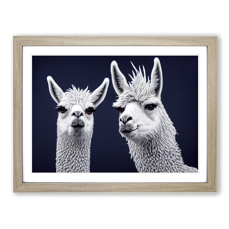 XH1022-9017X The Two Llamas Vol.3 1 Piece Single Picture Frame Wall Art, 46cm H x 64cm W x 2cm D, Oak Framed