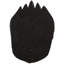 Patte d'ours noir Bhawari