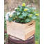 Boîte à fleurs en bois Dessie