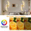 LED Flush Hardwired Mounted Sconce-1274887181