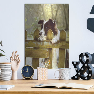 " Border Collie Watching Cows " by John Silver