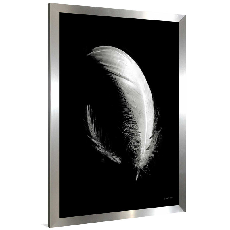 Dream Feathers - Photographie d'un seul cadre, L 27,5 po x H 39,5 po, Encadrement argenté