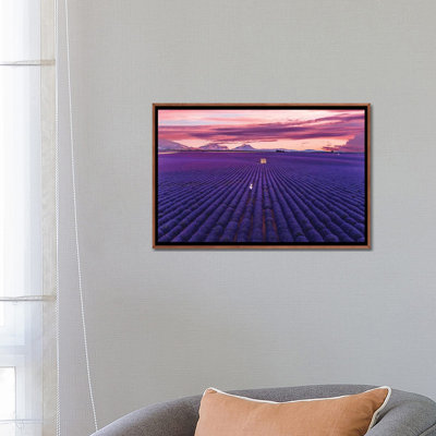 Lavande Sunset par Hobopeeba - reproduction de photo