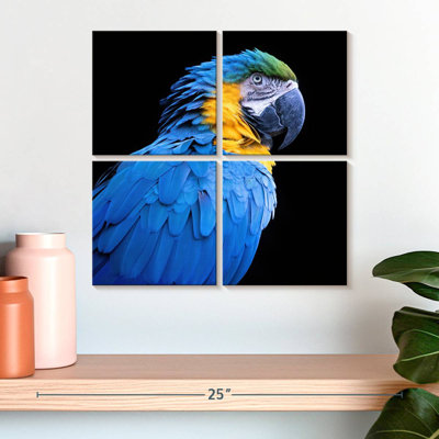 Brampt Neotropical Blue Macaw