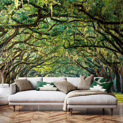  Tree Walk Matt Smooth Paste the Wall Mural 300cm wide x 240cm high