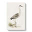 Grey Heron by Von Wright - Wrapped Canvas-55312690