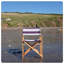 Cream Premium Director's Chair-240632431