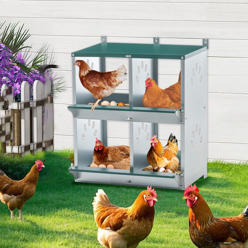 Boîtes de nidification à 4 compartiments pour poules, boîtes de nidification en métal pour œufs