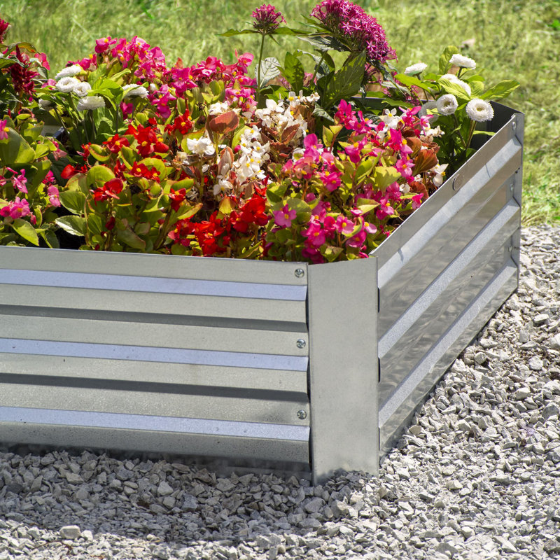 Lit de jardin surélevé en acier galvanisé Grapevine, rectangulaire, argent