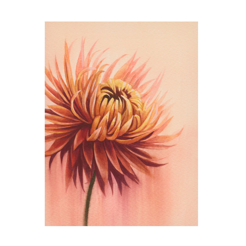 Art mural sur toile tendue - art mural Grace Popp «Sun-Drenched Mums I» pour le salon, la chambre à coucher ou le bureau - 35 x 47