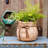 Claxten Handmade Pot Planter-656268230