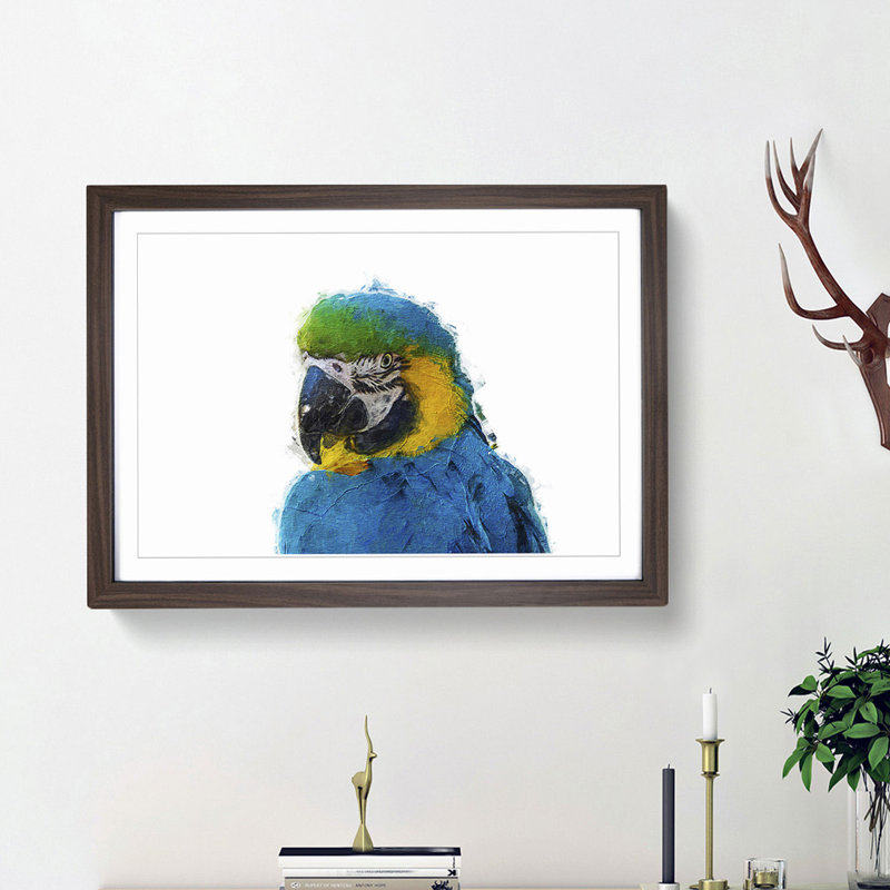 Macaw Parrot - Framed Print, 27cm H x 36cm W x 2cm D, Walnut Framed
