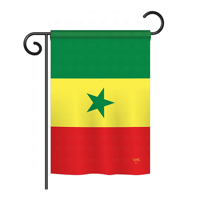 Double Sided Polyester House Flag, 40" H x 28" W