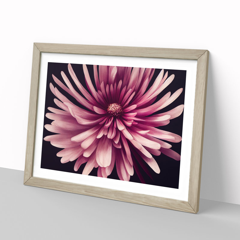 Irresistible Chrysanthemum Flower - Framed Print, 46cm H x 64cm W x 2cm D, Oak
