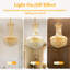 Alarica 6 - Light Chandelier