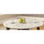 Élégante table basse charmante en marbre et noyer blanc avec détails décoratifs