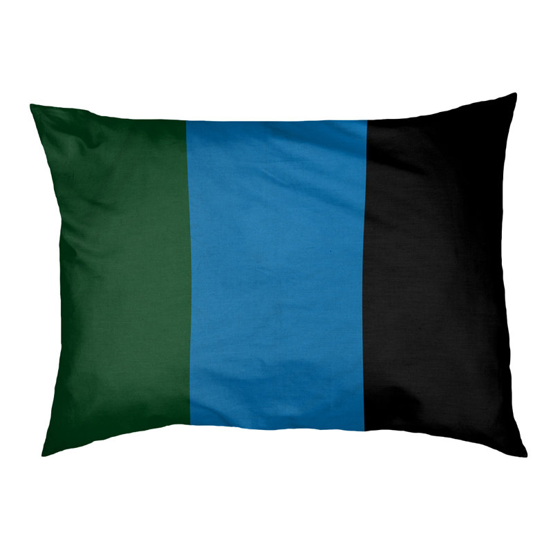 Coussin Milwaukee, Moyen (l 28 po x P 18 po x H 9,5 po), Vert de Good Land / bleu des Grands Lacs / noir
