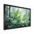 Black Single Picture Framed
