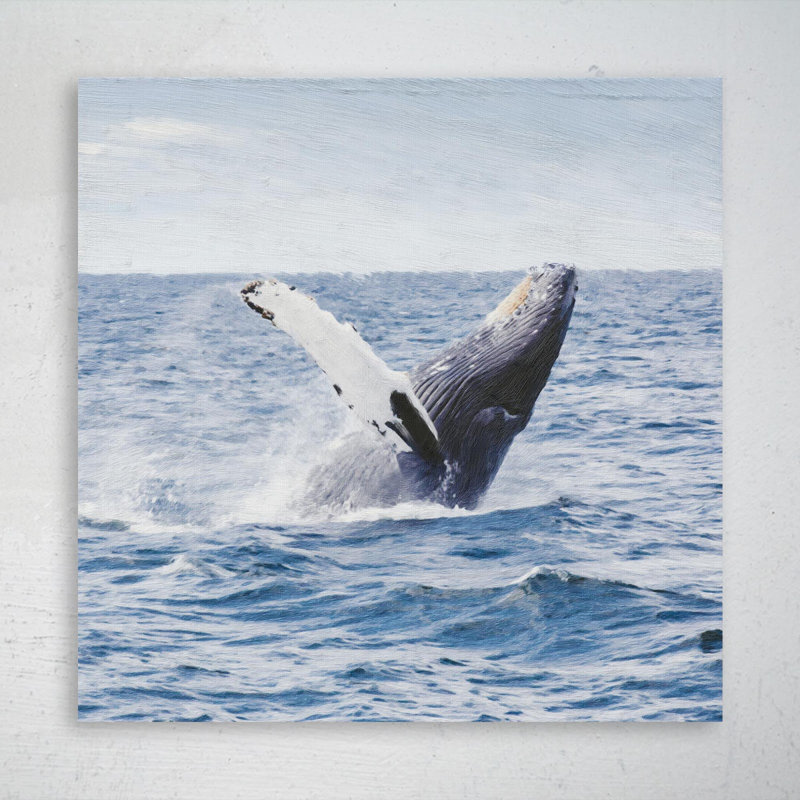 " Photography Of Whale " Painting Print, 32" H x 32" W