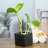 Handmade Ceramic Pot Planter