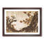 Ancient Plum Tree by Katsushika Hokusai - Single Picture Frame Painting-55544752-55544753